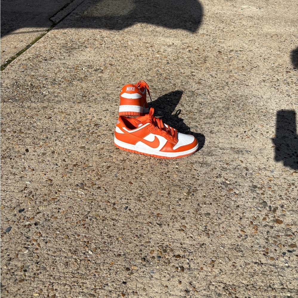 Low top Nike Dunks